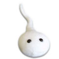 Sperm-plush.jpg