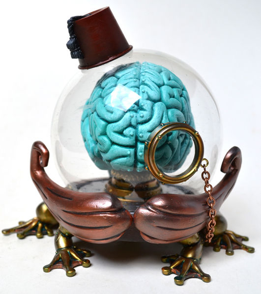 File:Brainevolution-doka.jpg