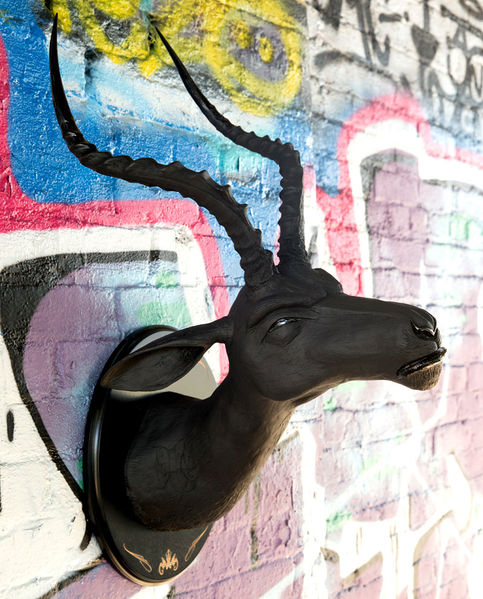 File:Ogimpala-onyx.jpg