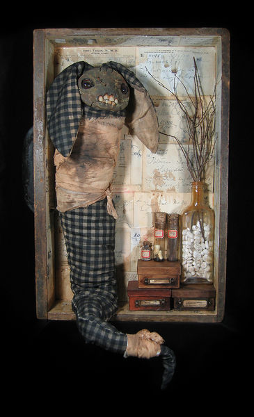 File:Curiousities-amanda1.jpg