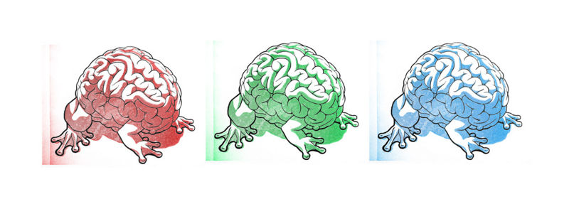 File:JumpingBrainPrint.jpg