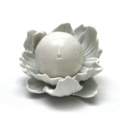 Moonflower.png