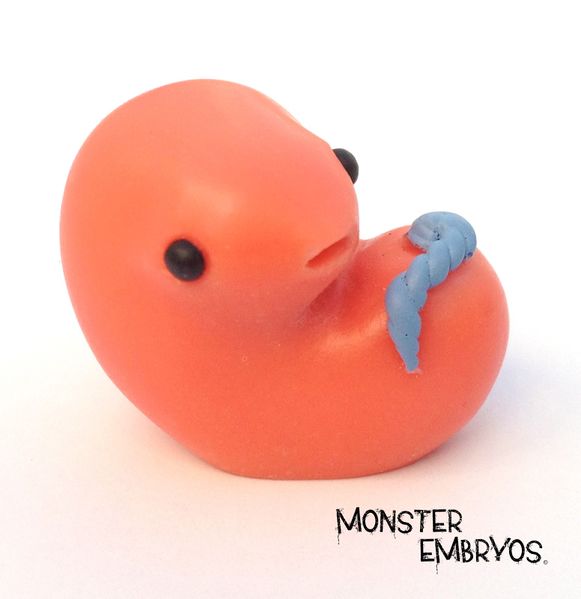 File:Monster embryos coral pink.jpg