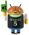 Androids5-hoops.jpg