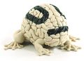 Brainevolution-hoppek.jpg