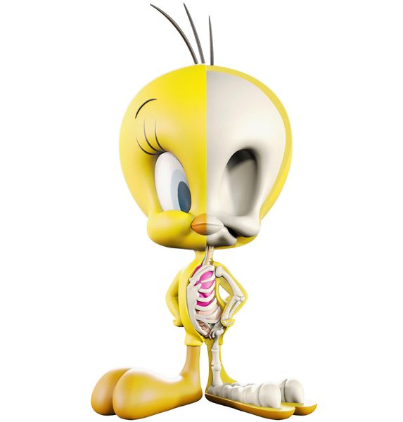File:XXRay-Tweety.jpg
