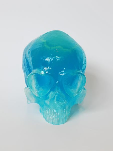 File:HeartSkullTransGIDBlue.jpg