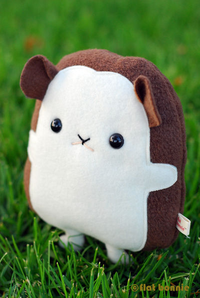 File:Qthedgehog.jpg