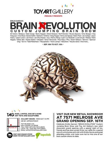 File:BrainEvolutionAd.jpg