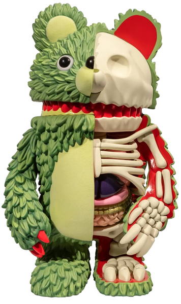 File:Anatomical-Green.png