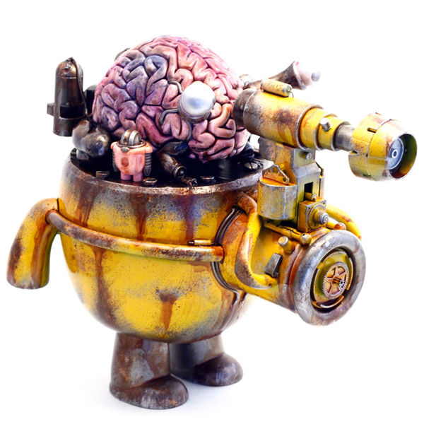 File:Brainevolution-crisrose.jpg