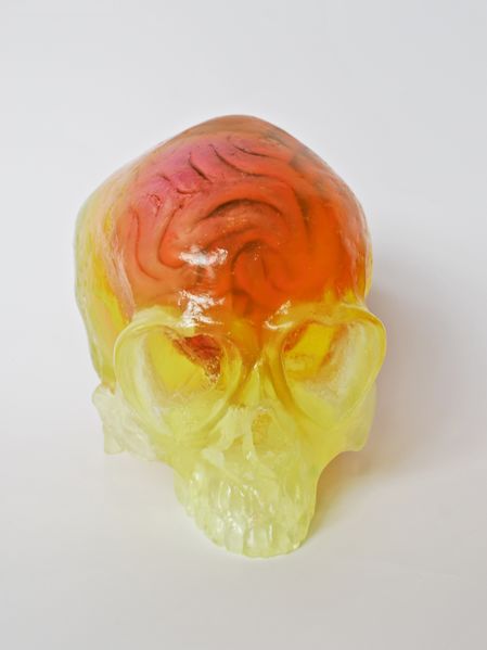 File:HeartSkullTransYellowBrain.jpg