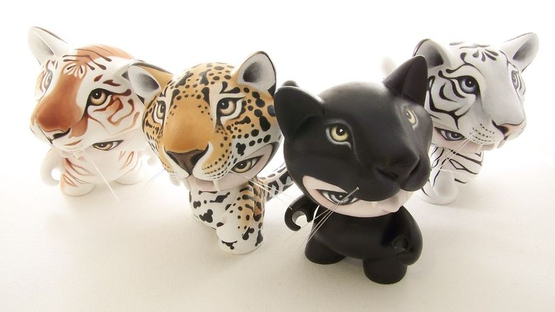 File:StuartHarris 201412 CatPower CollectAndDisplay b.JPG