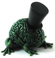 Brainevolution-tolleson.jpg