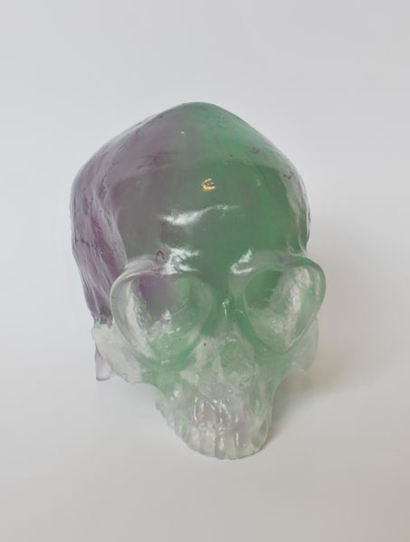 File:HeartSkullTransGreenPurple.jpg