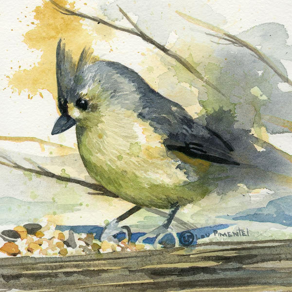 File:Studiogold pimentel.jpg