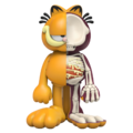 Xxraygarfield.png