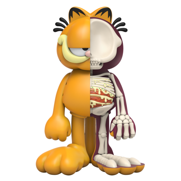 File:Xxraygarfield.png