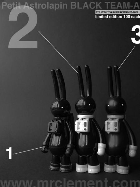 File:PetitastrolapinBlackteamA.jpg