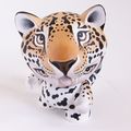 StuartHarris 201412 Jaguar CollectAndDisplay c.JPG