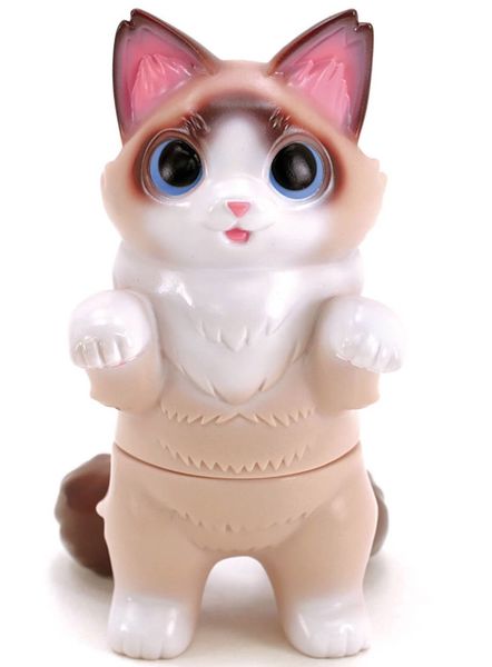 File:Fluffynegoraragdoll.jpeg