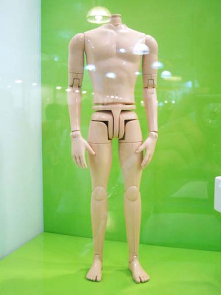 File:TTF 2007 dick 14.jpg